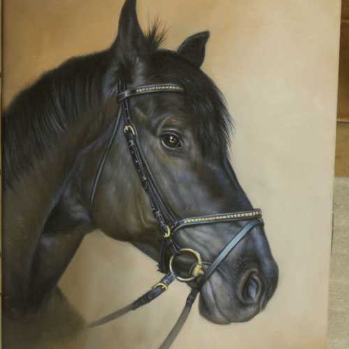 we also offer portraits of animals, dogs or cats.